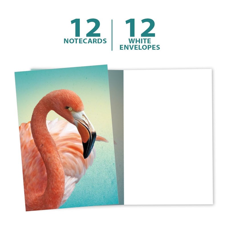Tree-Free Greetings EcoNotes 12 Count Deco Flamingo All Occasion Notecard Set with Envelopes, 4 x 6 Inches (FS56228) - Image 5